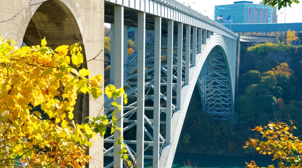 Rainbow Bridge mettant en vedette pont et ville
