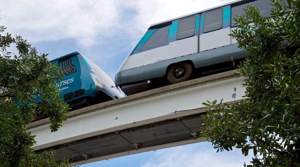 Downtown Miami Shopping District