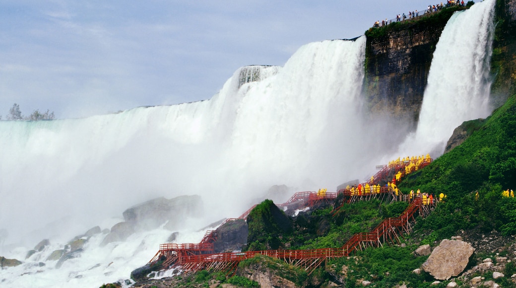 亚美利加福尔斯