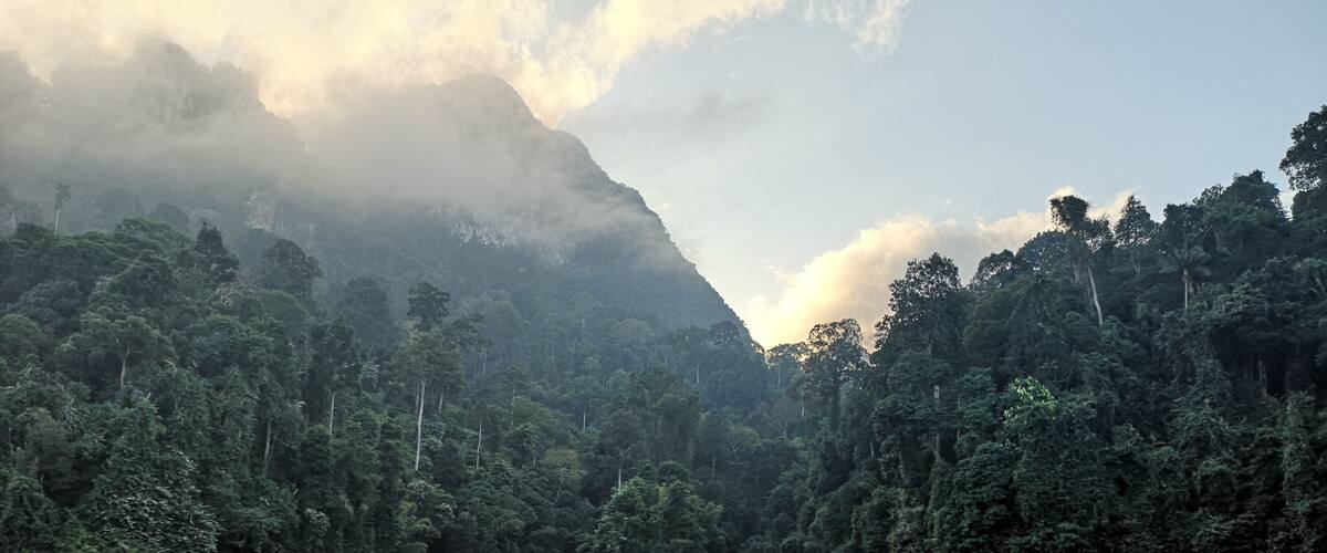 A calm lake surrounded by dense forest and a mountain in the background.