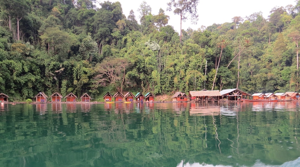 Khao Sok National Park. We slept in the huts it was so beautiful to wake up in this area. #Thailand
