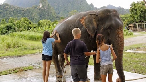 Midday elephant spa :)