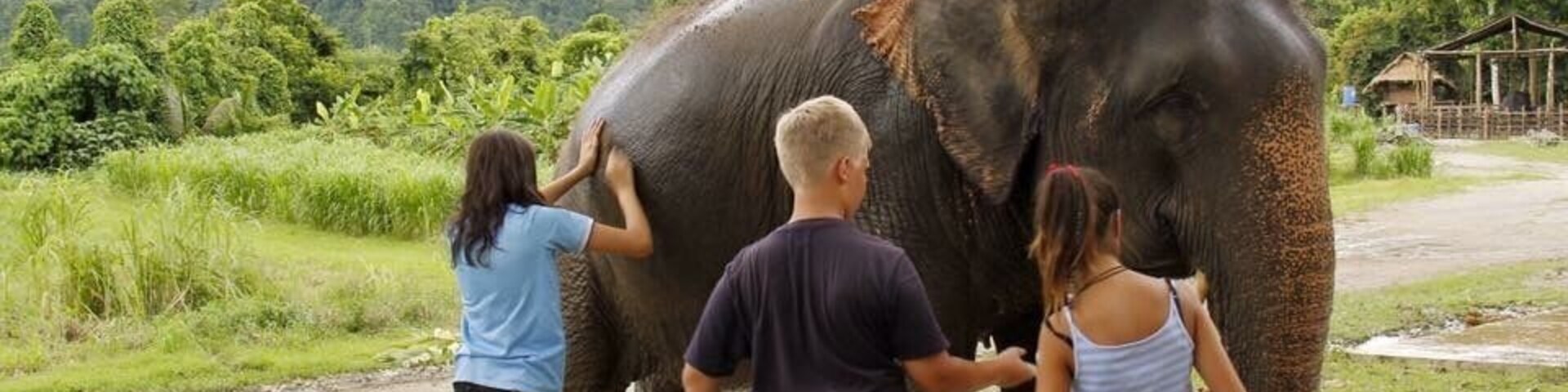 Midday elephant spa :)