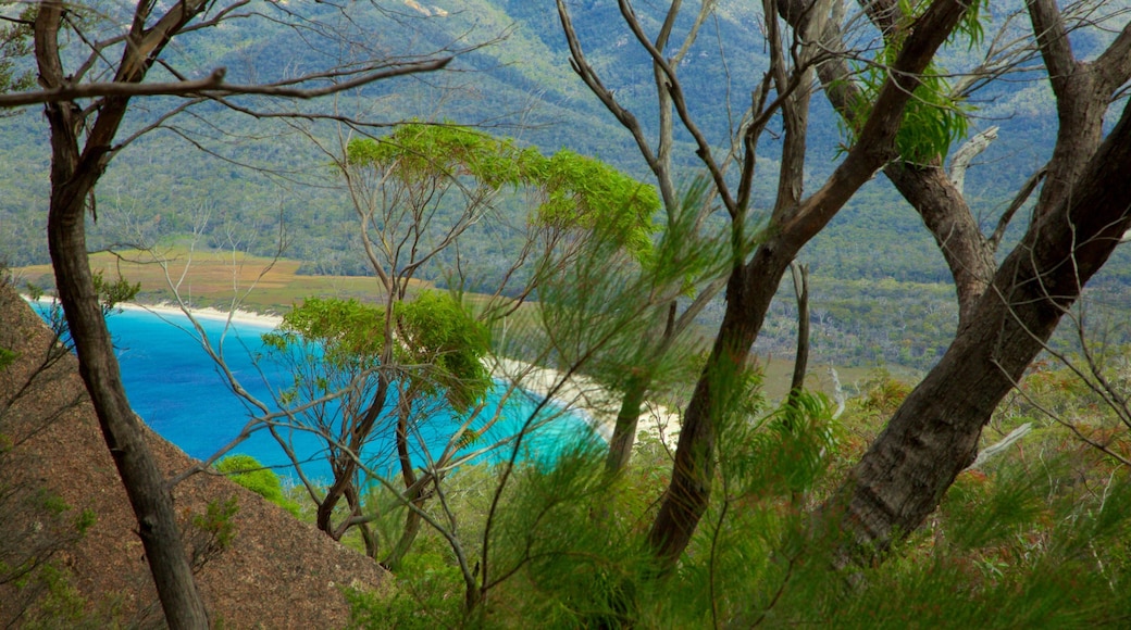 Wineglass Bay