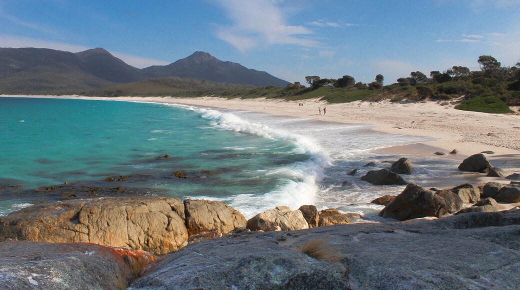 Freycinet mostrando vistas generales de la costa y una playa de arena