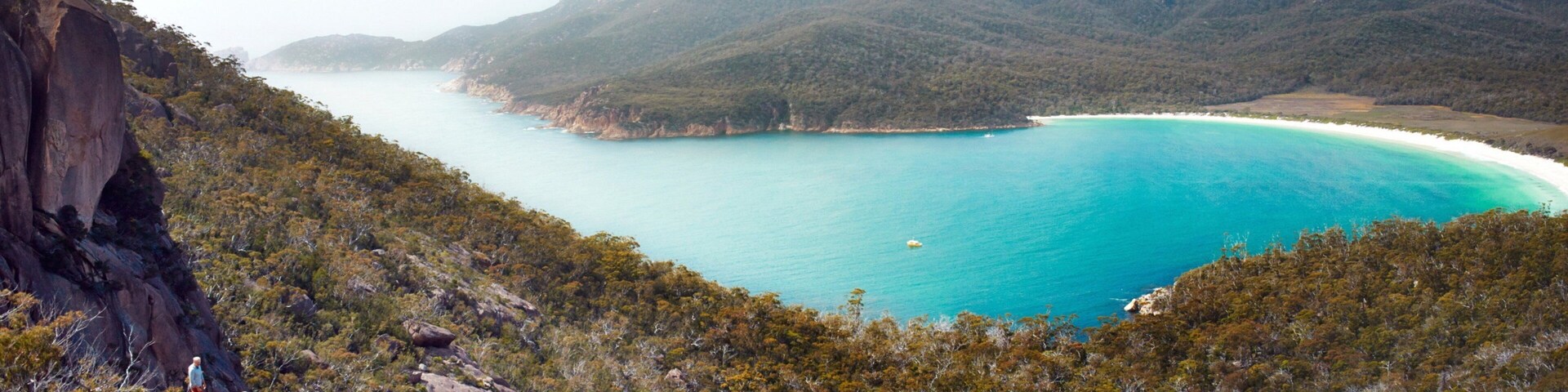 Freycinet mostrando montañas, vistas de una costa y paisajes forestales