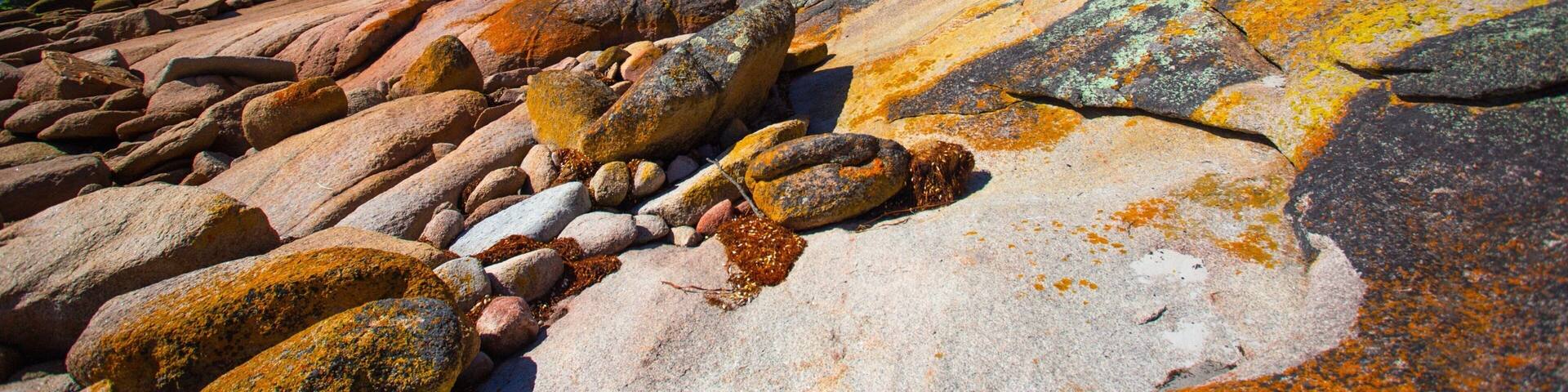 Freycinet welches beinhaltet Felsküste