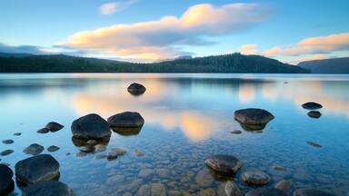 A calm lake with clear water, surrounded by mountains and a forest.