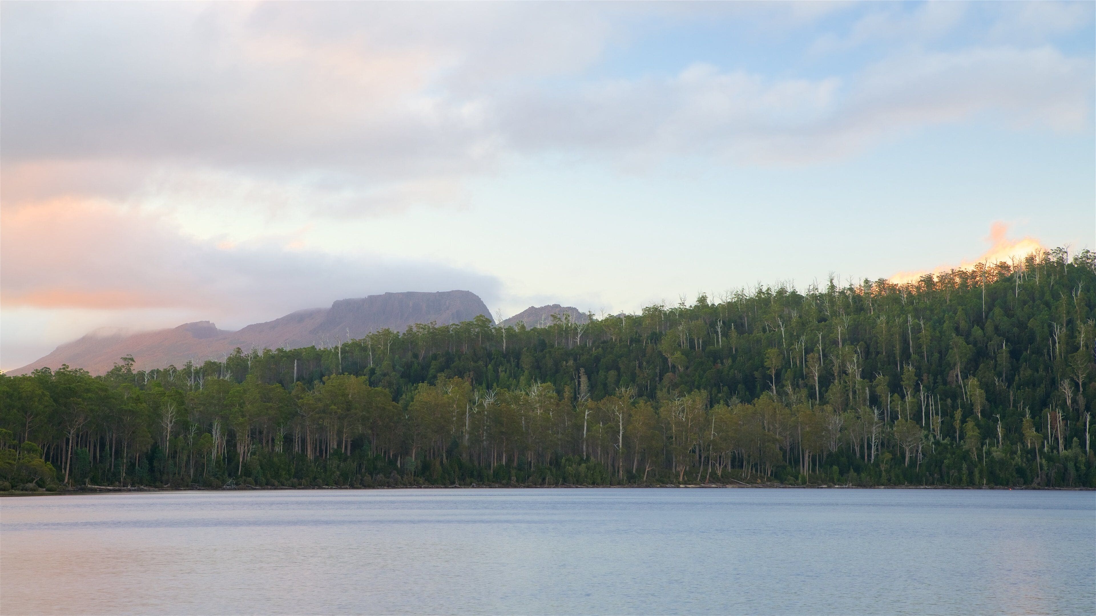 A calm lake with a forested mountain range in the background.