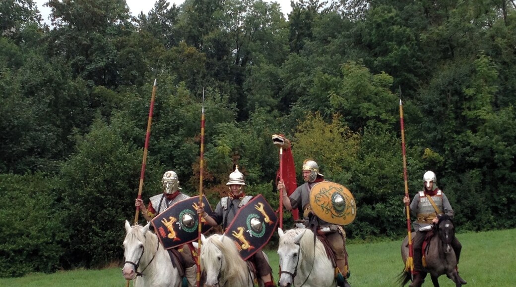 Roman Cavalry Reenactment - Roman Festival at Augusta Raurica - August 2013-032