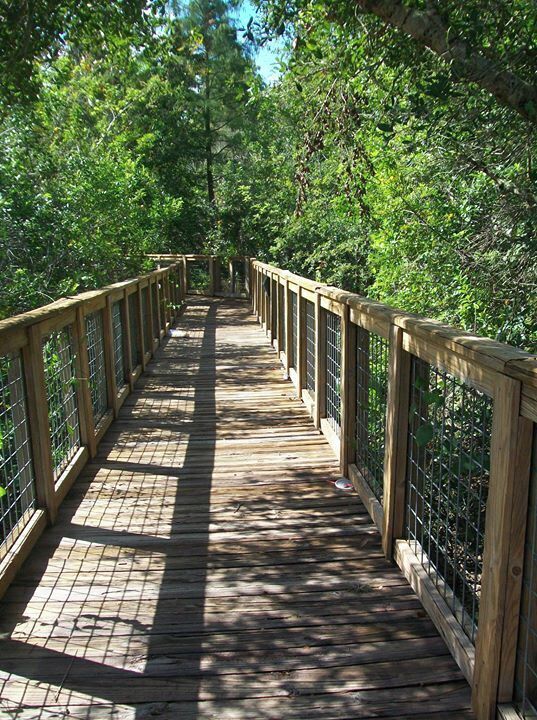 <h2>Top places to stay near the water</h2>