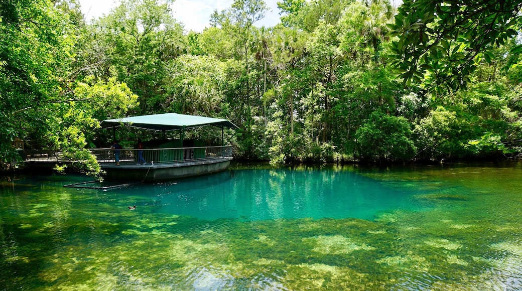 Real encounter with Mother Nature.