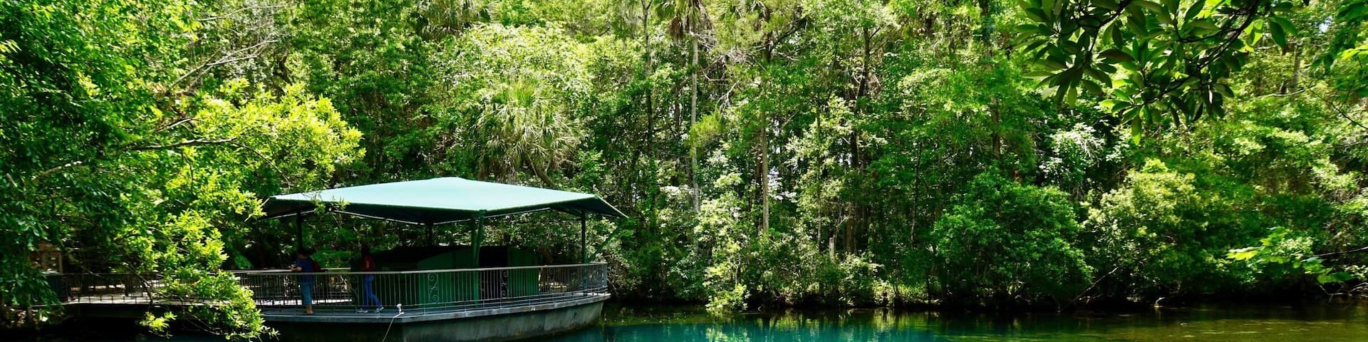 Real encounter with Mother Nature.