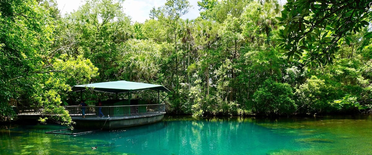 Real encounter with Mother Nature.