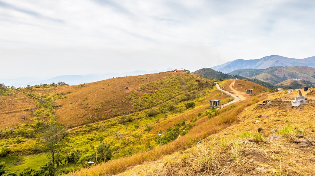 Panchalimedu is a hill station and view point near Kuttikkanam in Peerumedu tehsil of Idukki district in the Indian state of Kerala