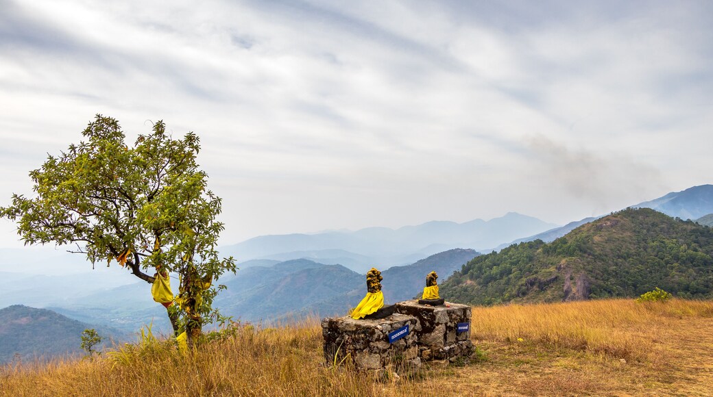 Panchalimedu is a hill station and view point near Kuttikkanam in Peerumedu tehsil of Idukki district in the Indian state of Kerala