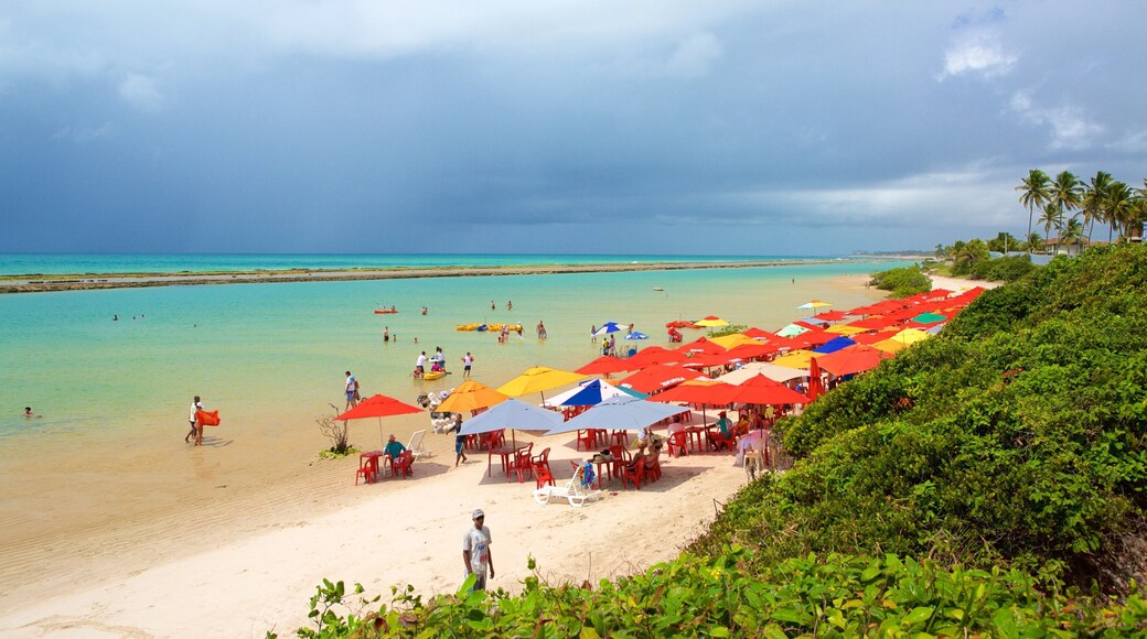 Ipojuca which includes tropical scenes, swimming and a sandy beach