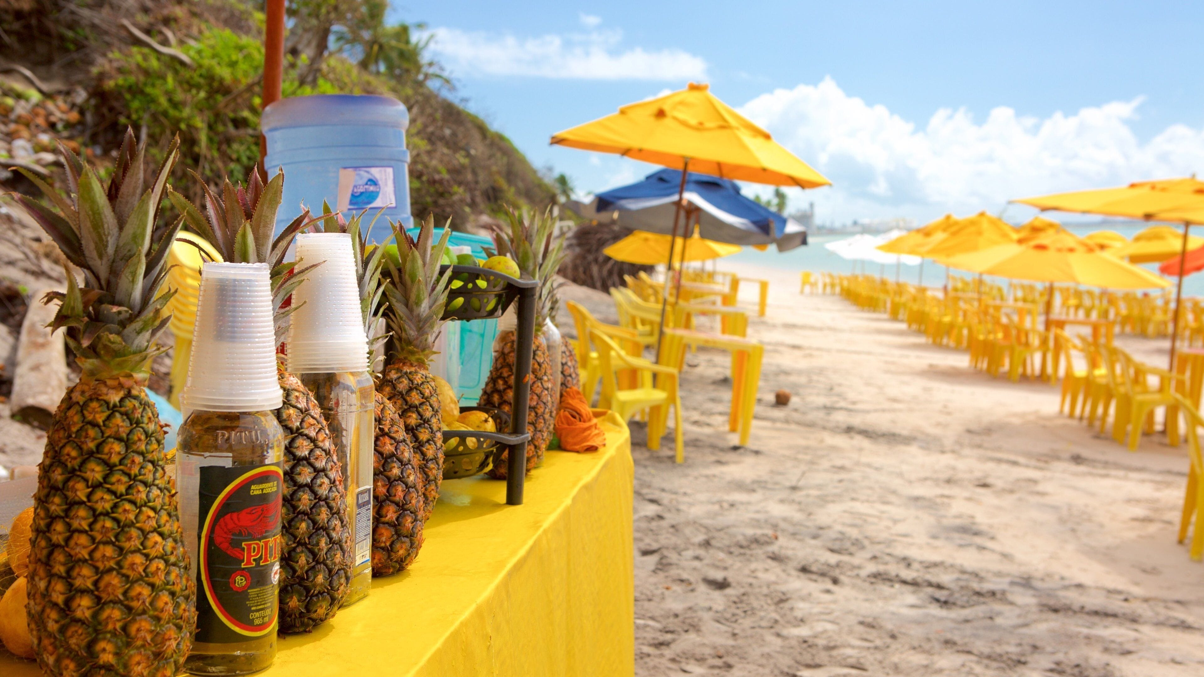 <h2>Los mejores lugares para hospedarse cerca de la playa</h2> 