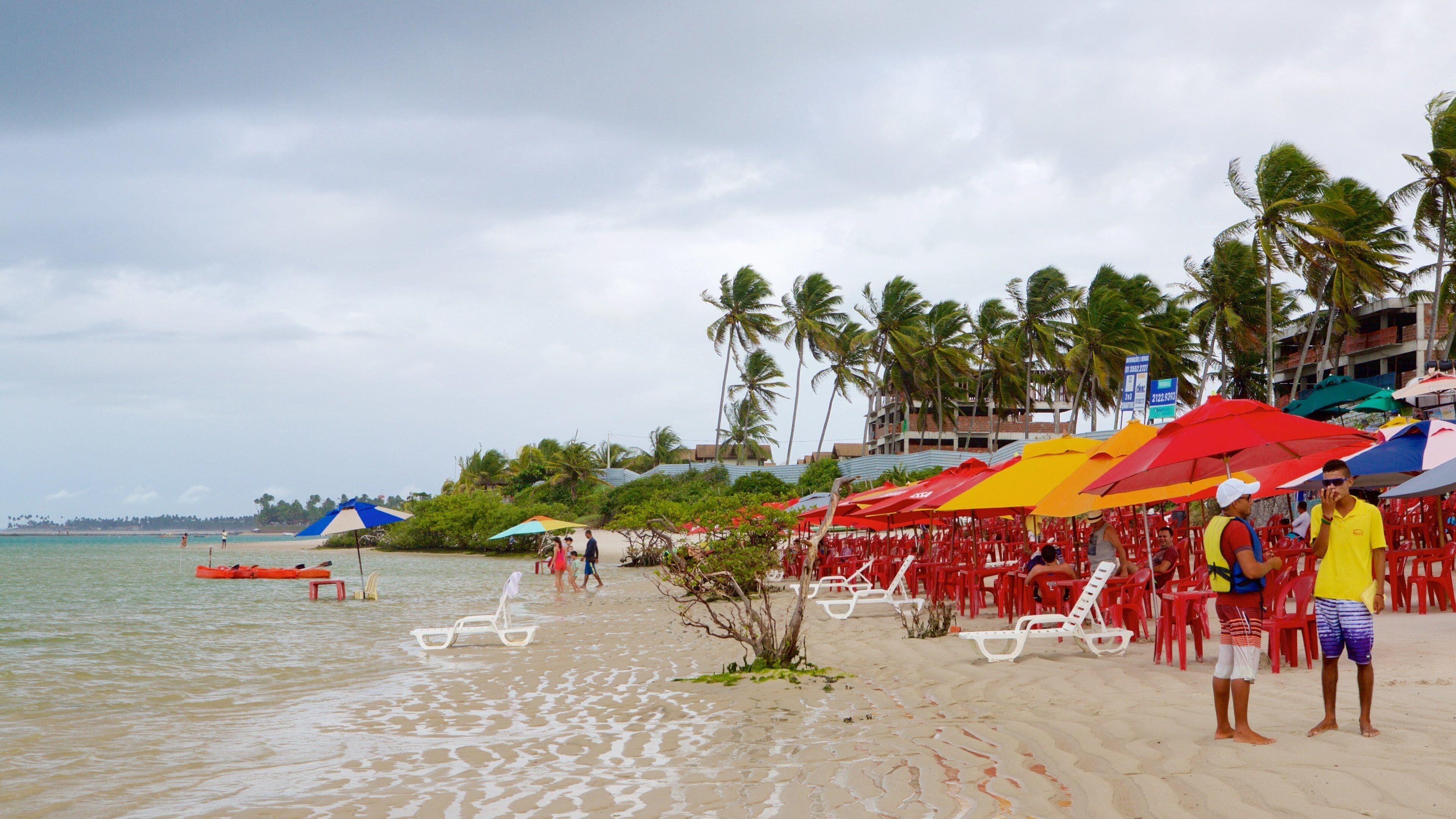 Ipojuca which includes tropical scenes, a sandy beach and general coastal views