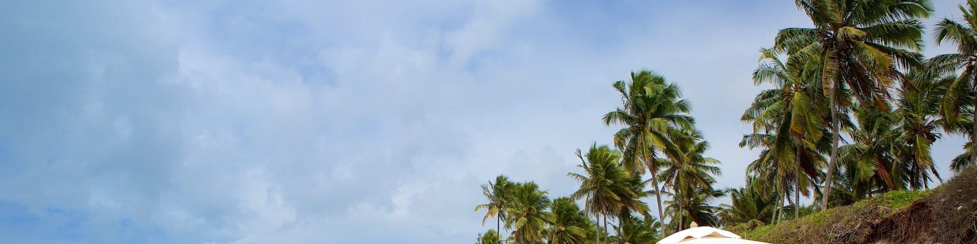 Ipojuca which includes tropical scenes, a beach and general coastal views