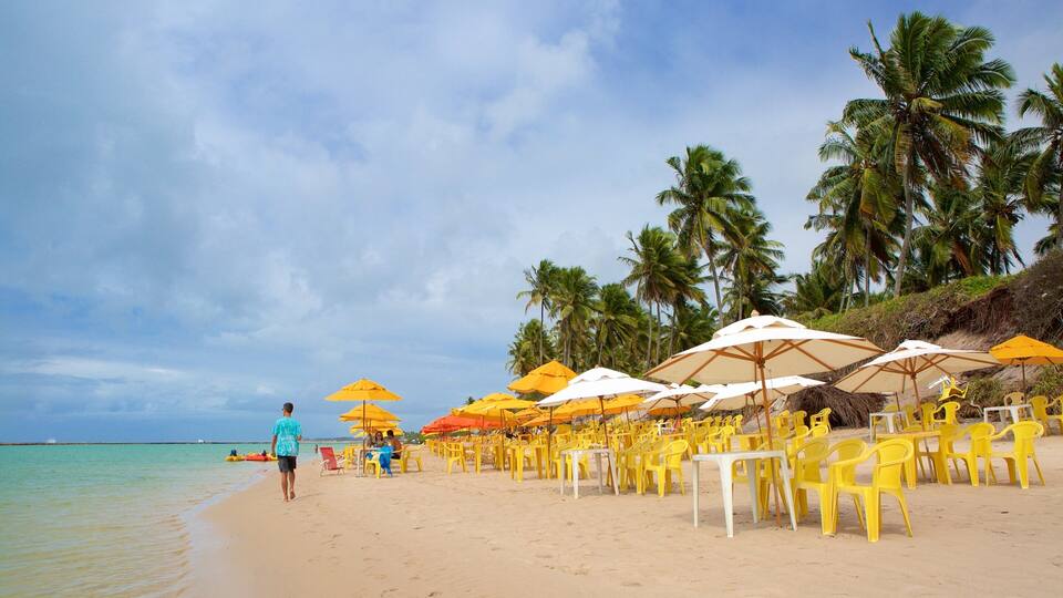 A beach with yellow and white umbrellas, yellow chairs, and palm trees.