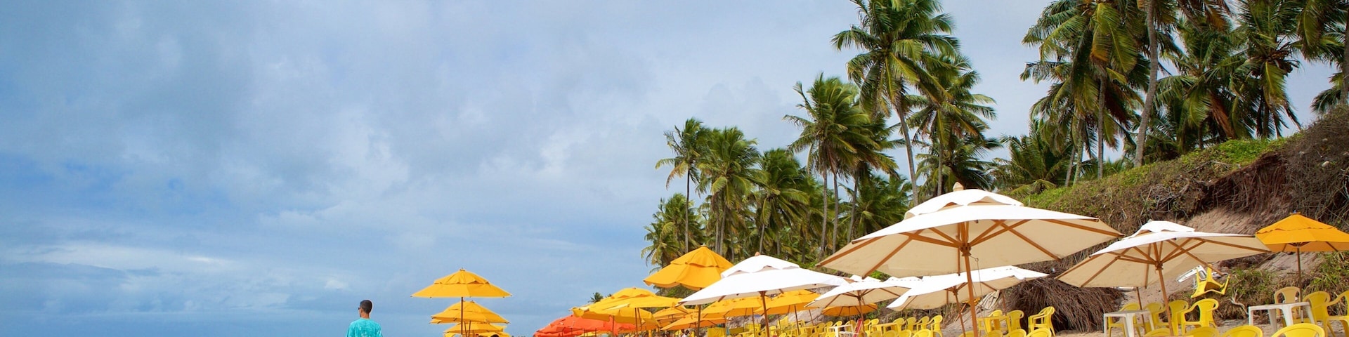 Ipojuca showing a beach, tropical scenes and general coastal views