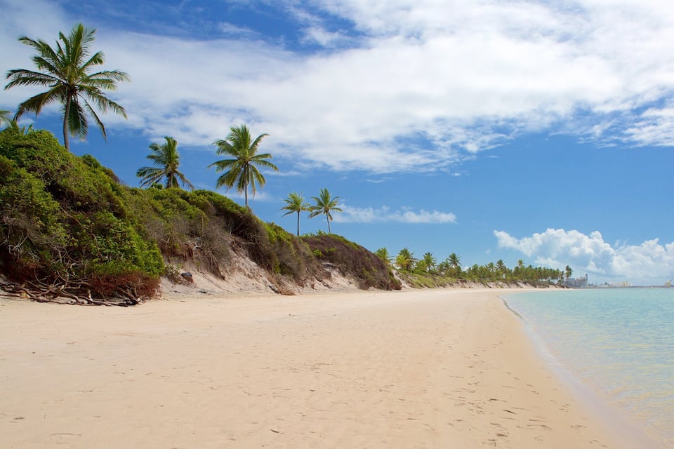 A sandy beach with palm trees and a clear blue sky.