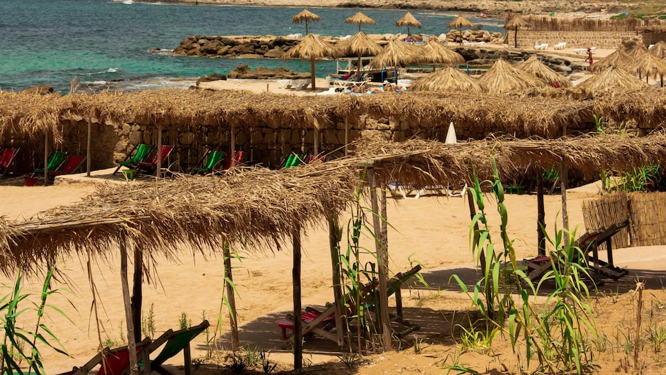 A beach with straw huts and green chairs.
