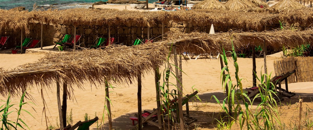 A beach with straw huts and green chairs.