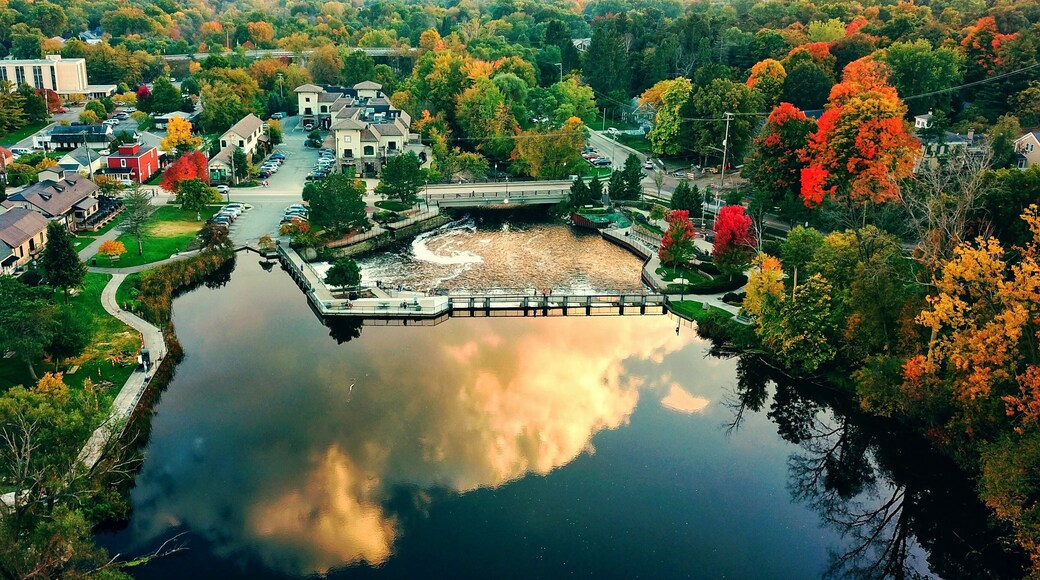landscape with water and damm in rockford michigan