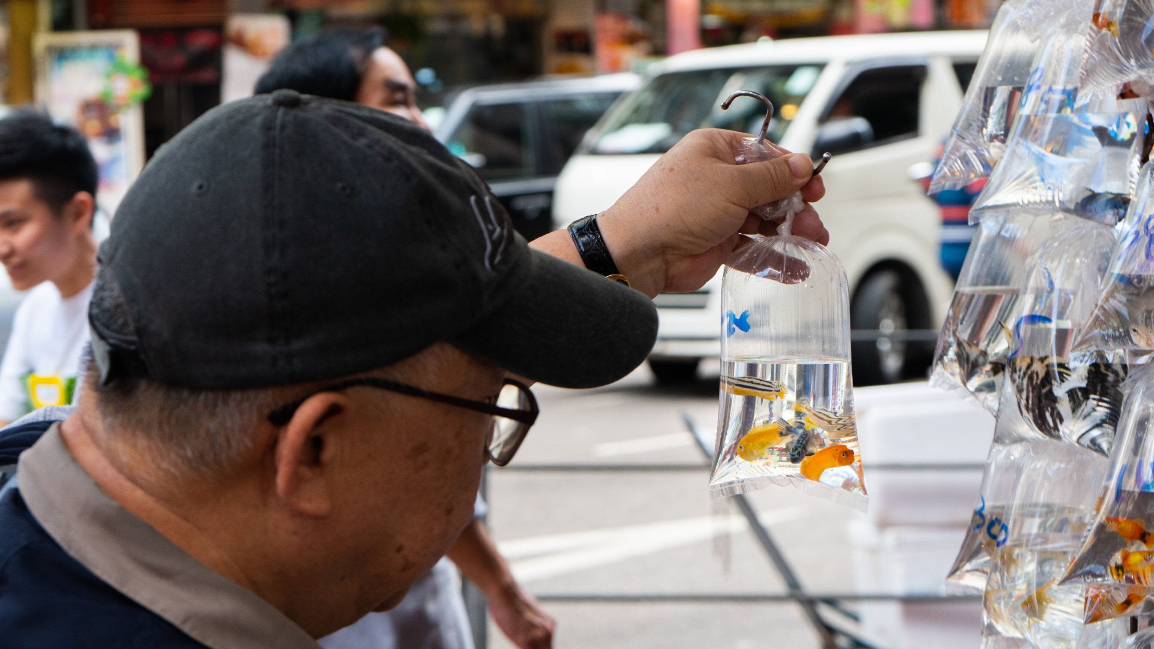 Goldfish Market featuring markets and marine life as well as an individual male