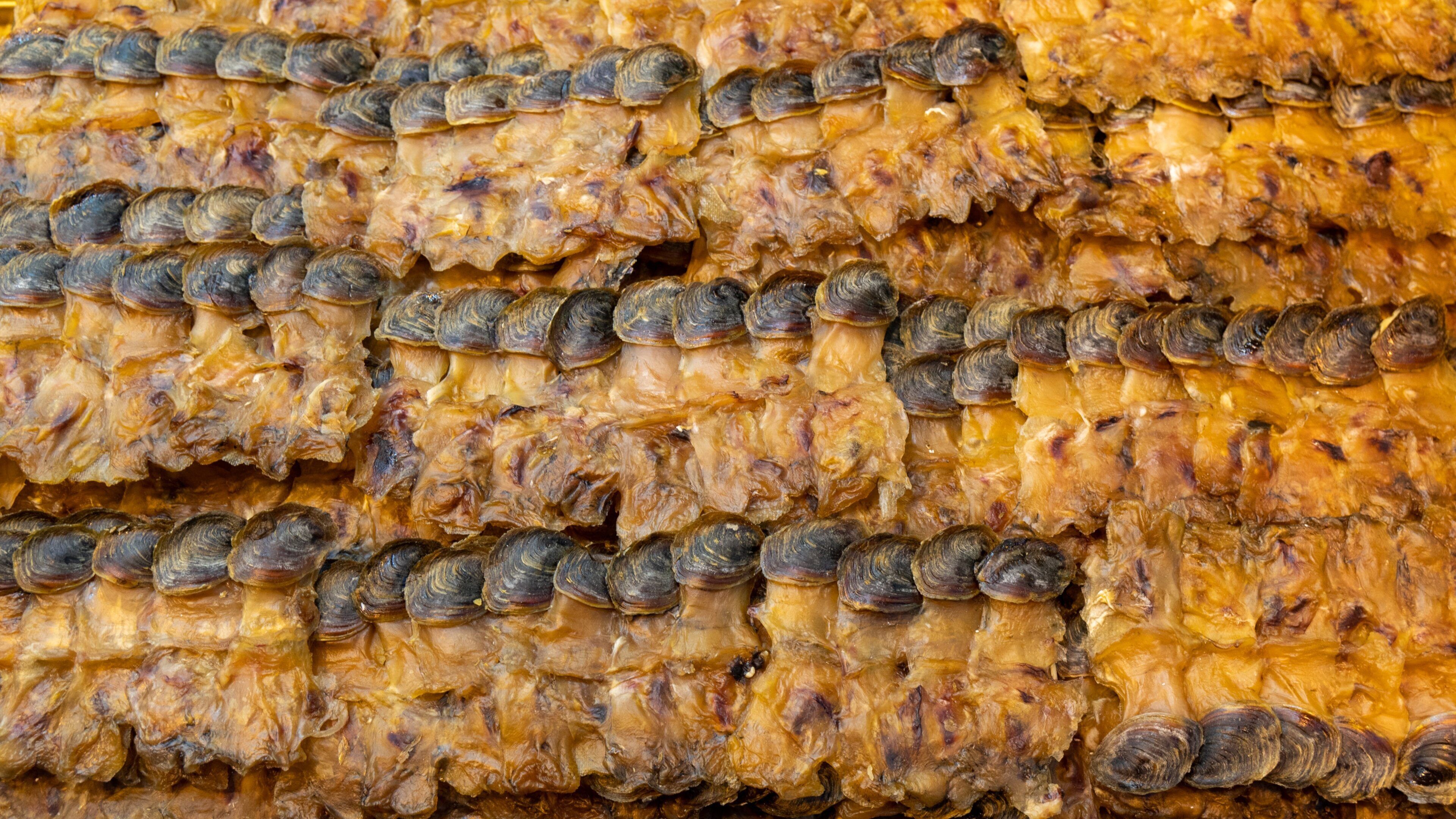Dried Seafood Market showing food