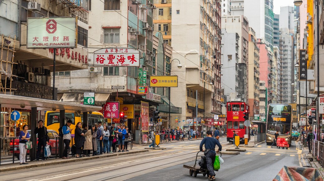 Dried Seafood Market which includes street scenes and a city