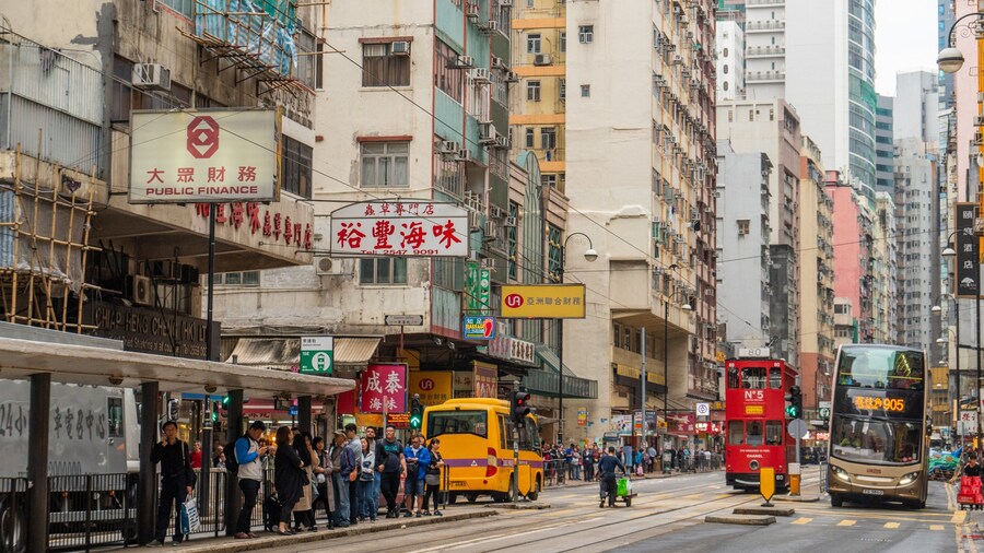 Dried Seafood Market showing street scenes and a city