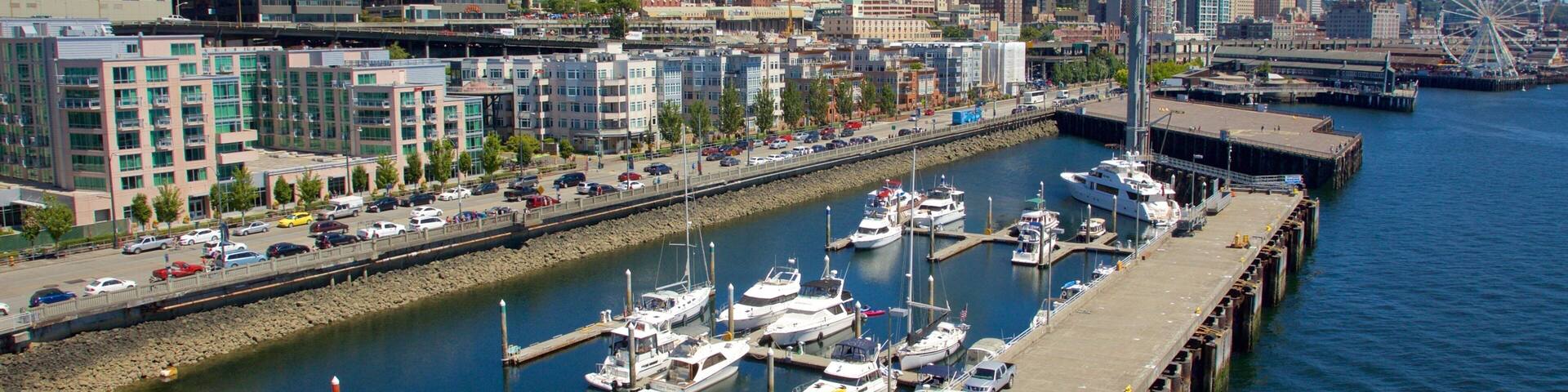 Seattle Waterfront som viser en marina, bådsejlads og sejlads