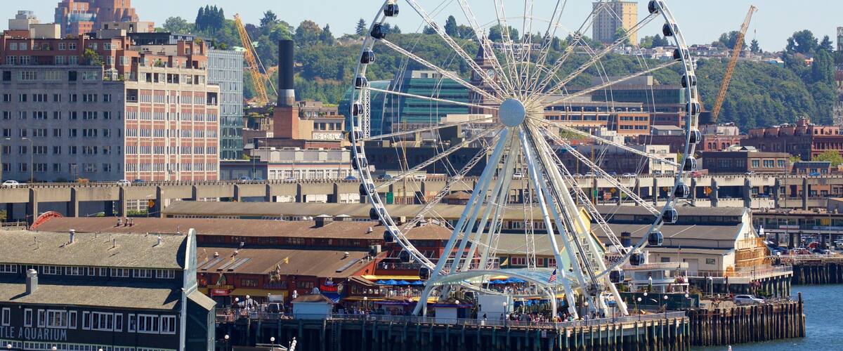 Seattle Waterfront showing rides, a bay or harbor and a city