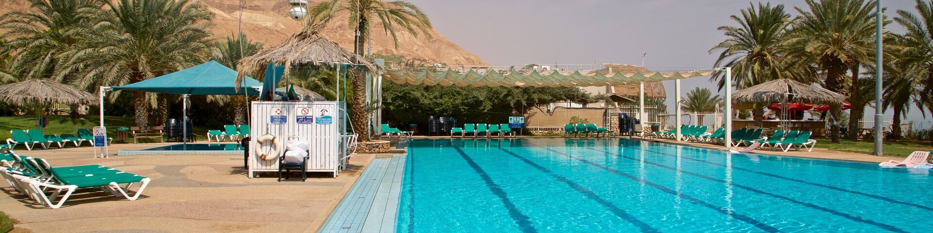 恩戈地植物園 呈现出 泳池