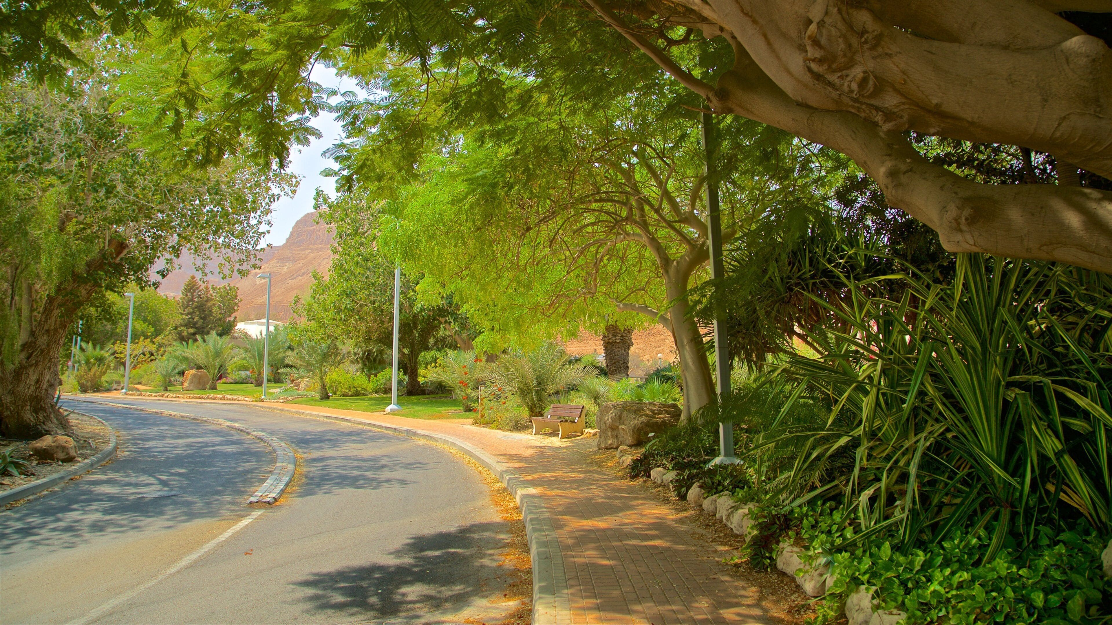 恩戈地植物園 其中包括 公園
