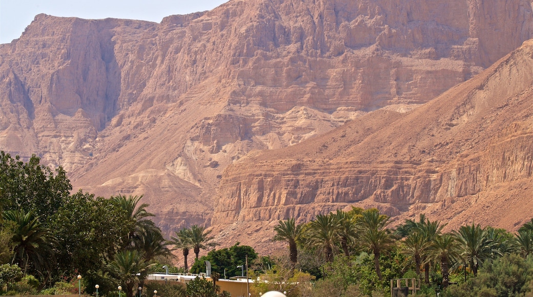 Ein Gedi Botanical Garden showing a gorge or canyon and desert views