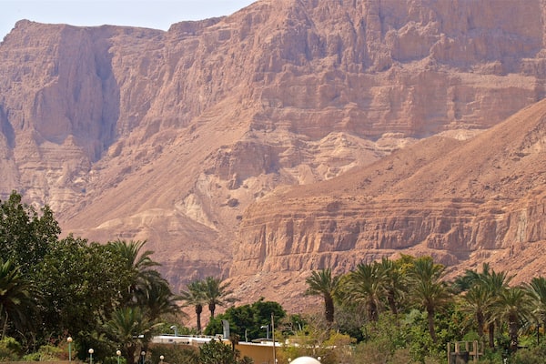 Ein Gedi Botanical Garden showing a gorge or canyon and desert views