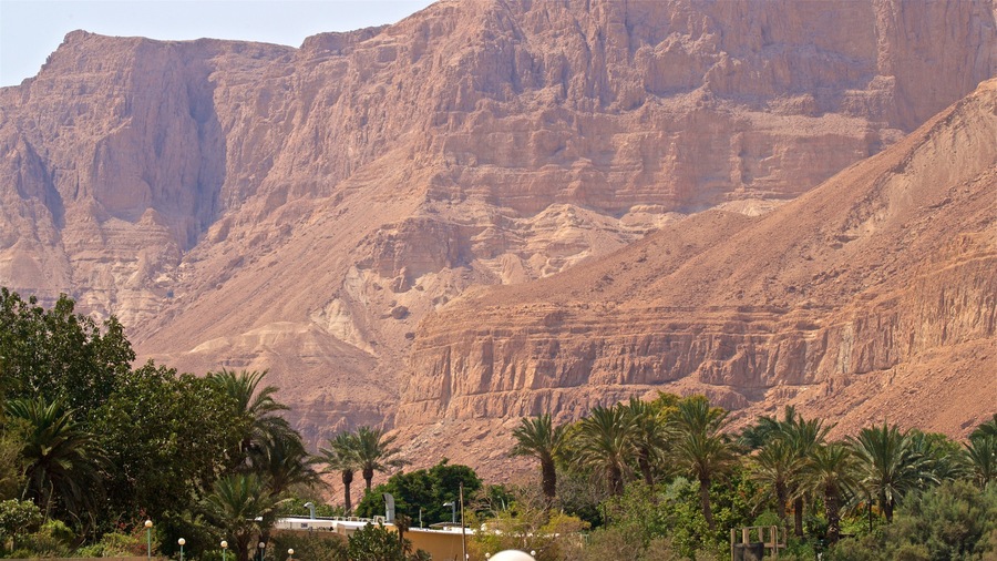 Ein Gedi Botanical Garden showing a gorge or canyon and desert views