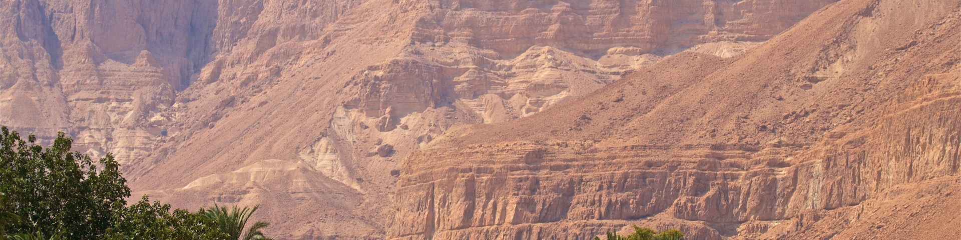 Ein Gedi Botanical Garden featuring a gorge or canyon and desert views