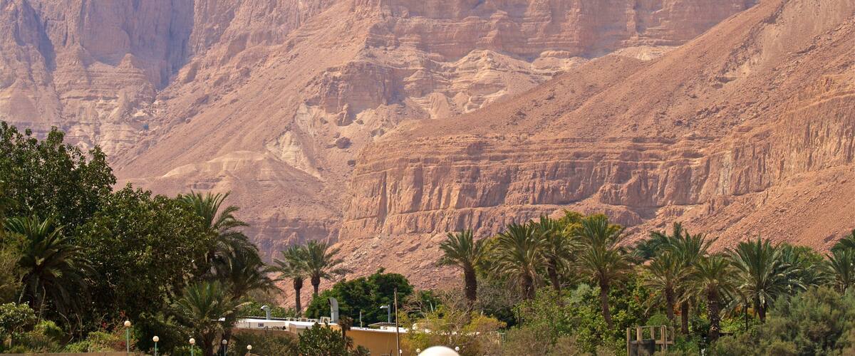 A mountainous landscape with palm trees in the foreground and a building in the distance.