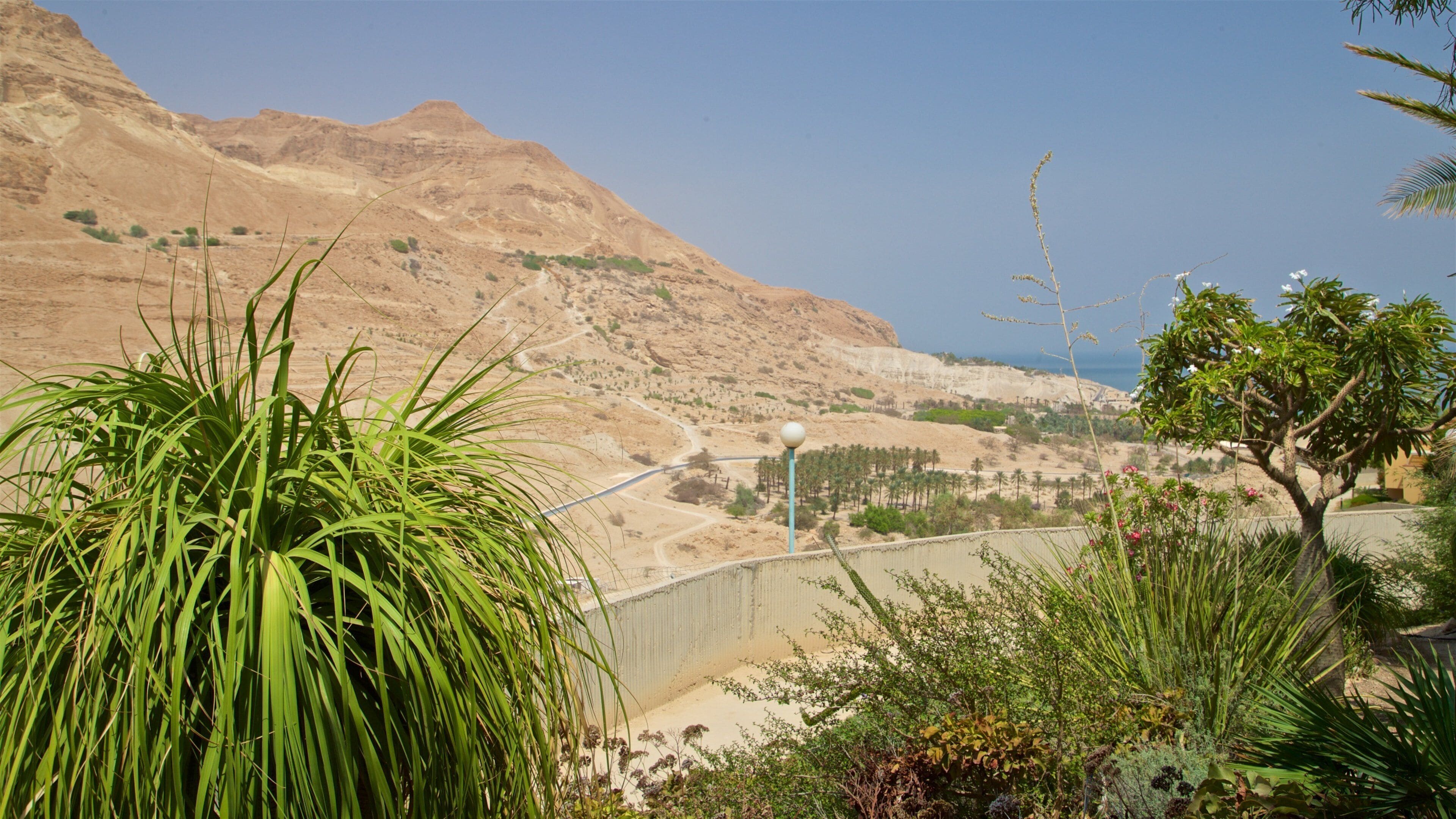 Ein Gedi Botanical Garden mostrando paisagem e paisagens do deserto
