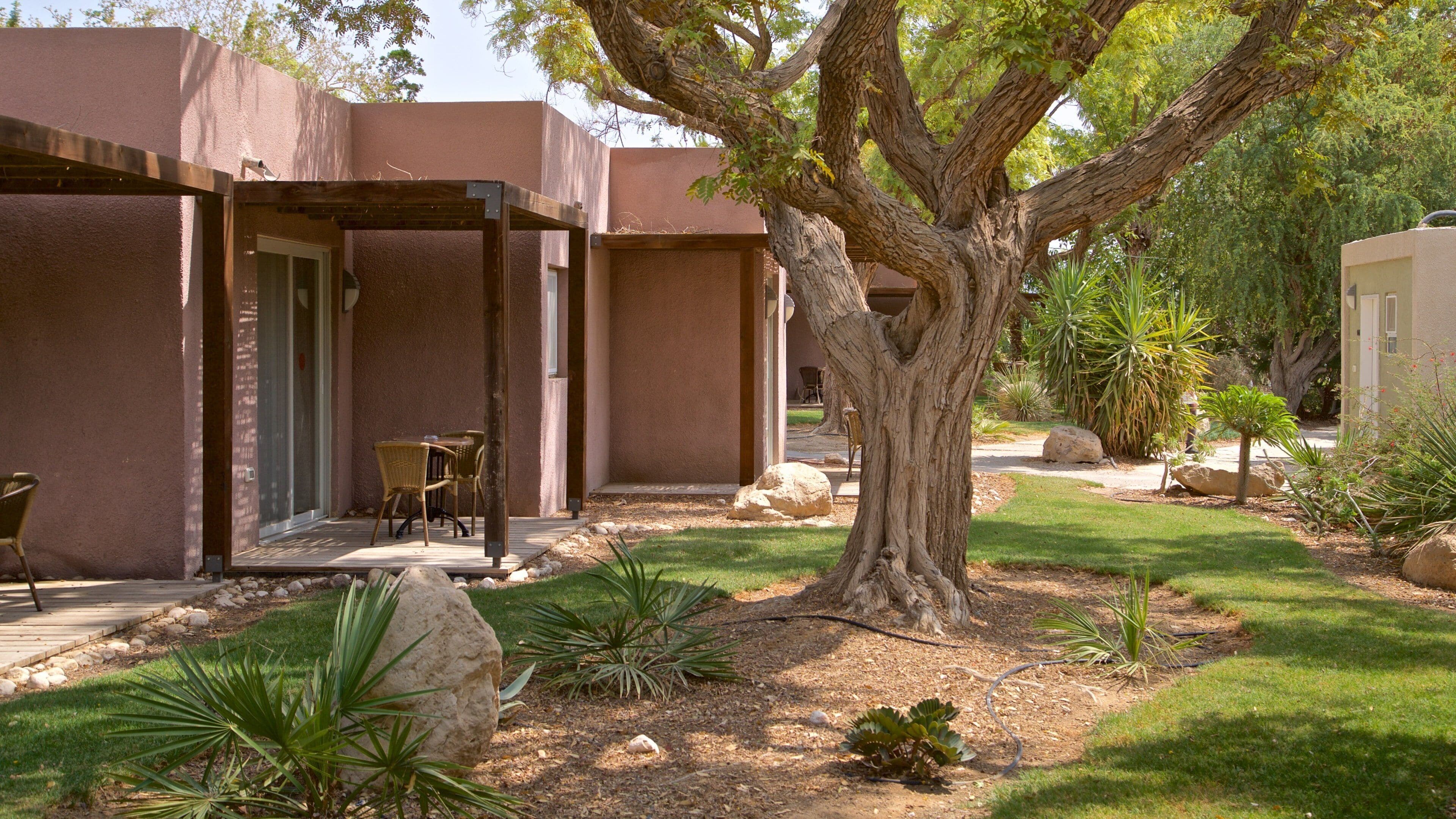 恩戈地植物園 设有 花園