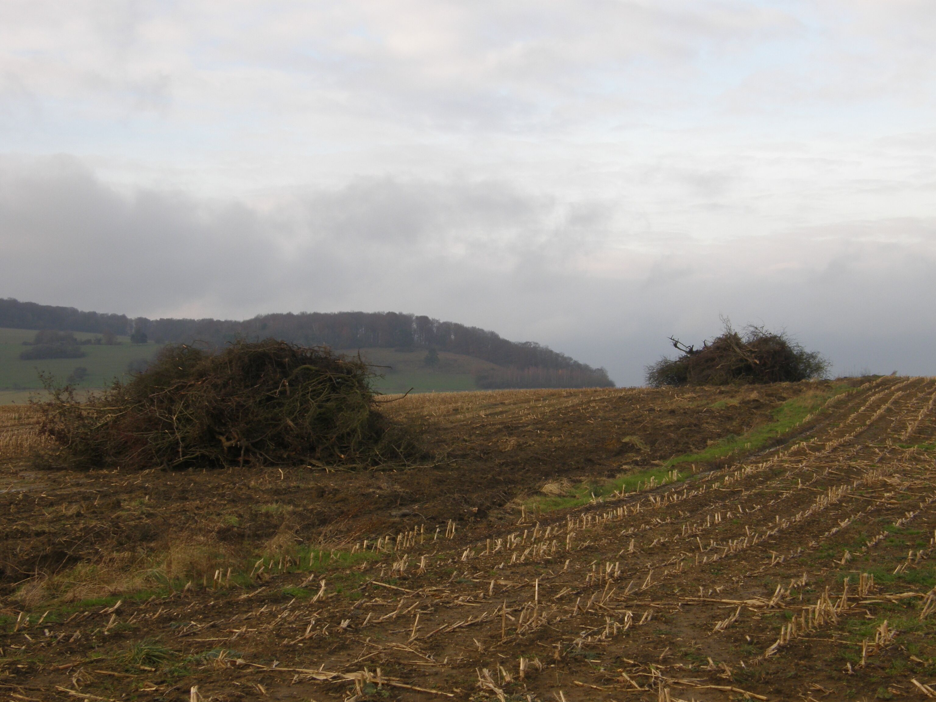 A rural landscape with fields, a hill in the distance, and a cloudy sky.