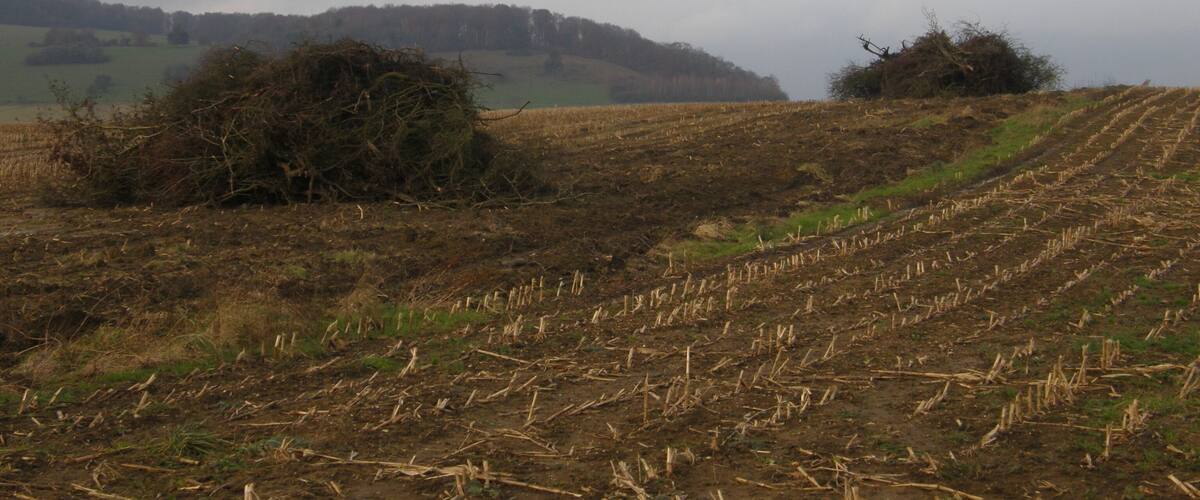 A rural landscape with fields, a hill in the distance, and a cloudy sky.