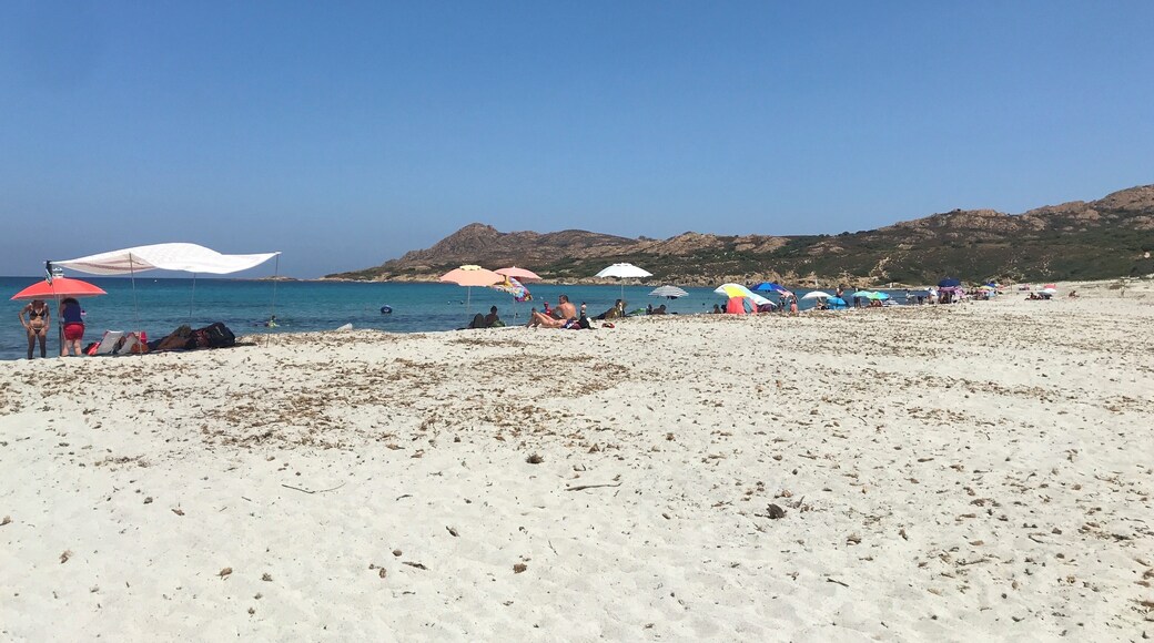 Wild beach to reach by walk only (20min) with white sand, clear water (not sea weeds at all)