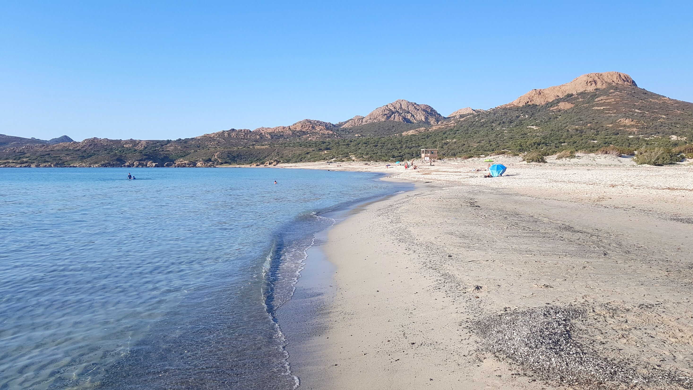 Palasca