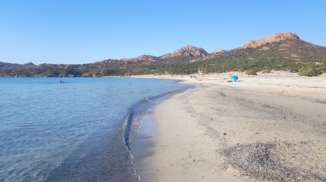 Palasca